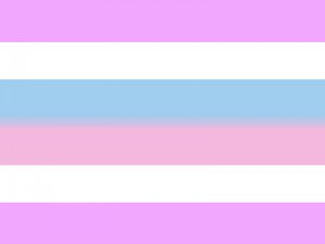 :bigender_flag: