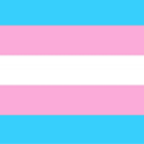 :flag_trans: