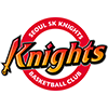 :sk_knights: